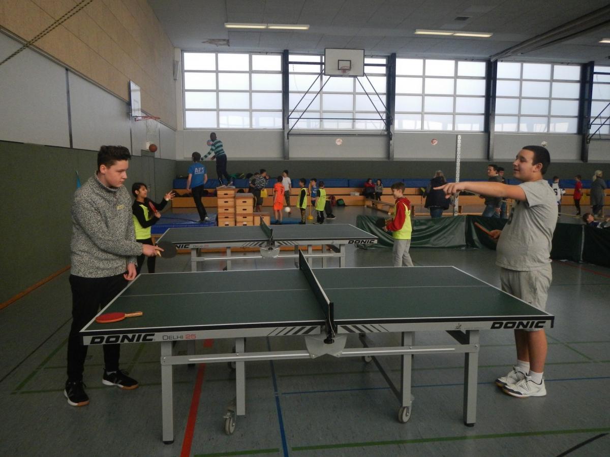 sportfest-00014