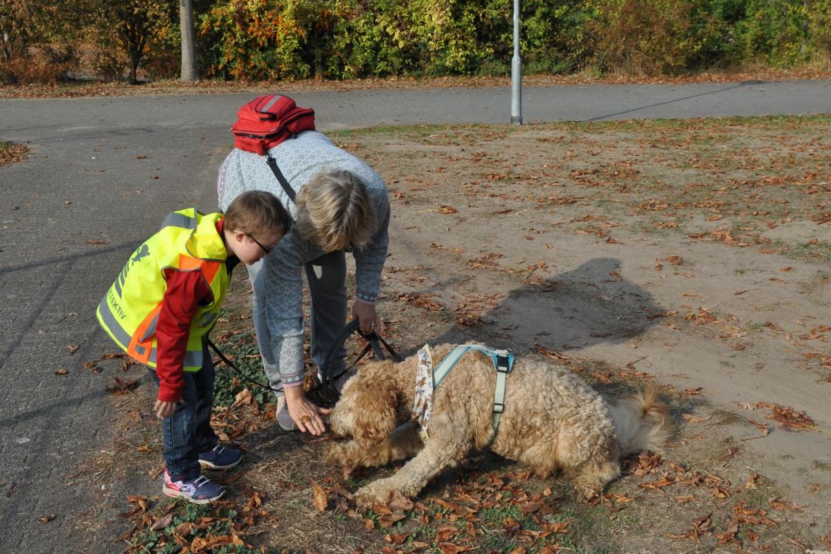 schulhund-00002