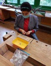 WErken-3